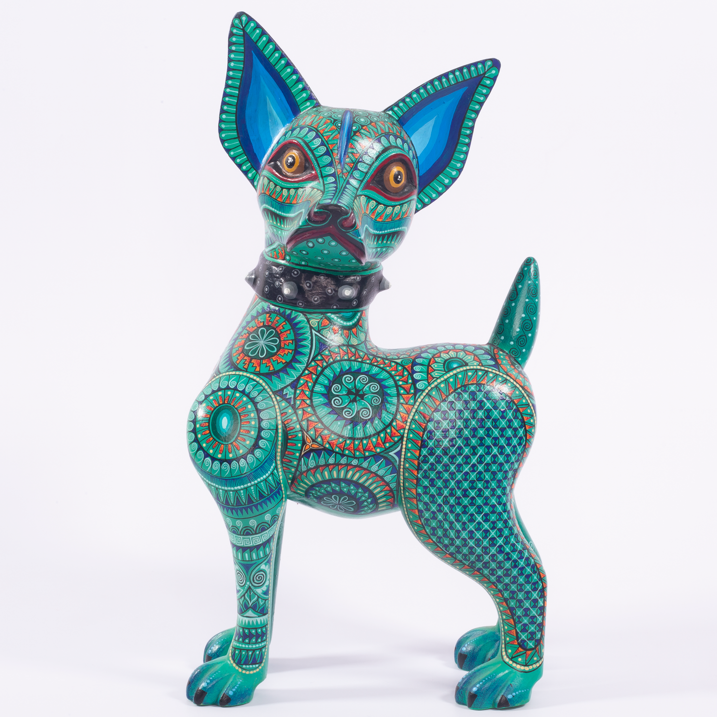PERRO CHIHUAHUA CON COLLAR