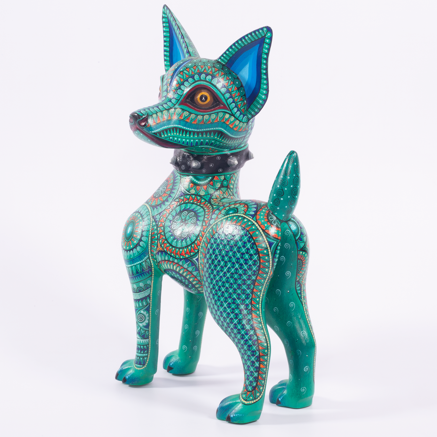PERRO CHIHUAHUA CON COLLAR