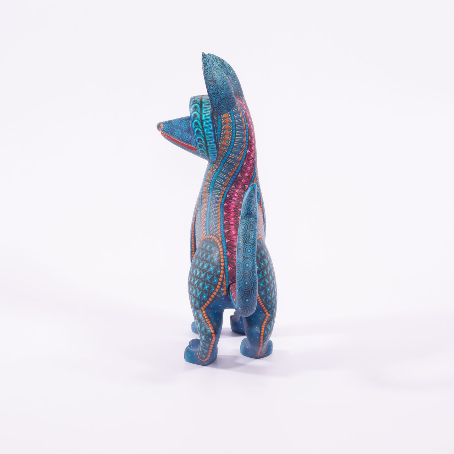 COYOTE