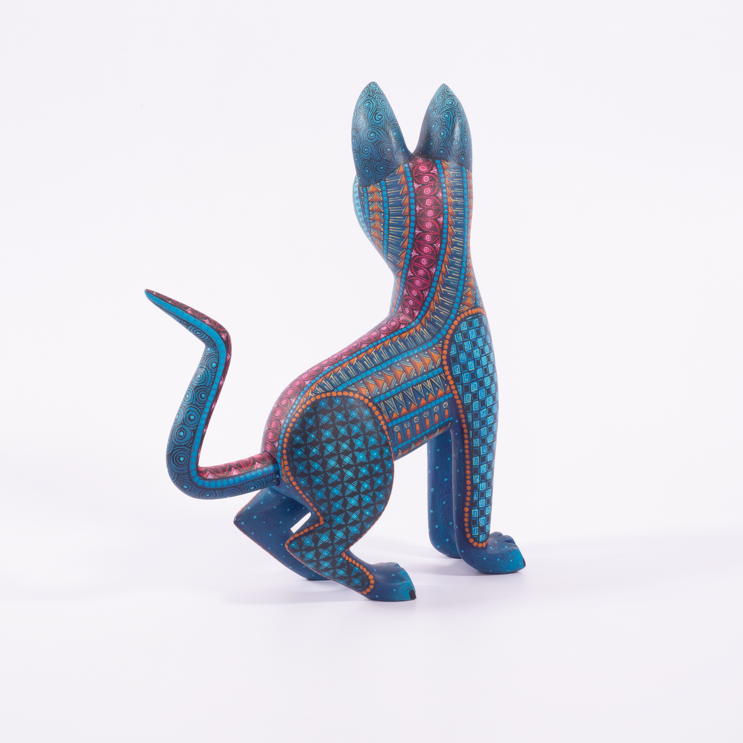 COYOTE